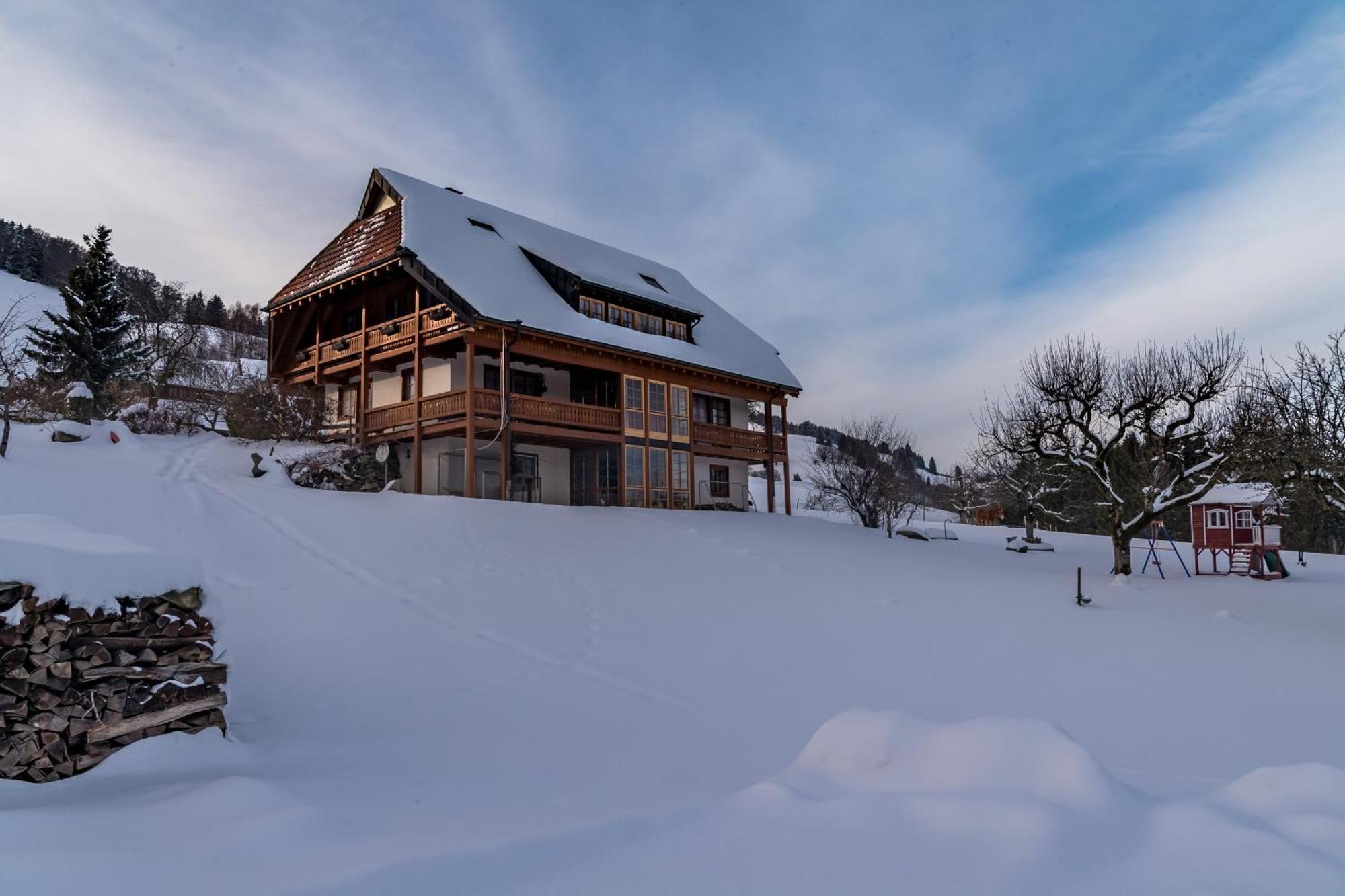 Schwarzwaldliebe Apartment Frohnd Bagian luar foto