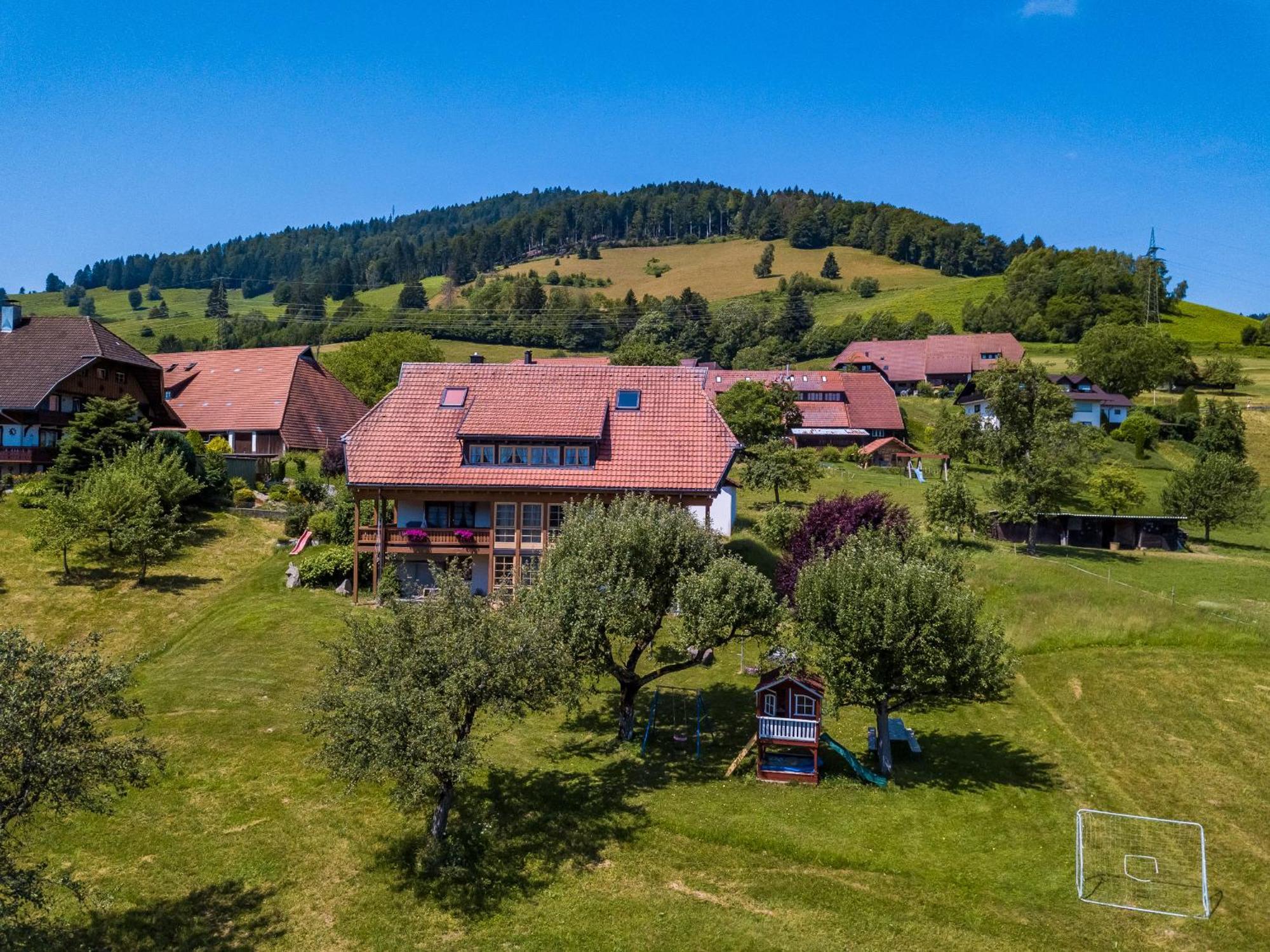 Schwarzwaldliebe Apartment Frohnd Bagian luar foto
